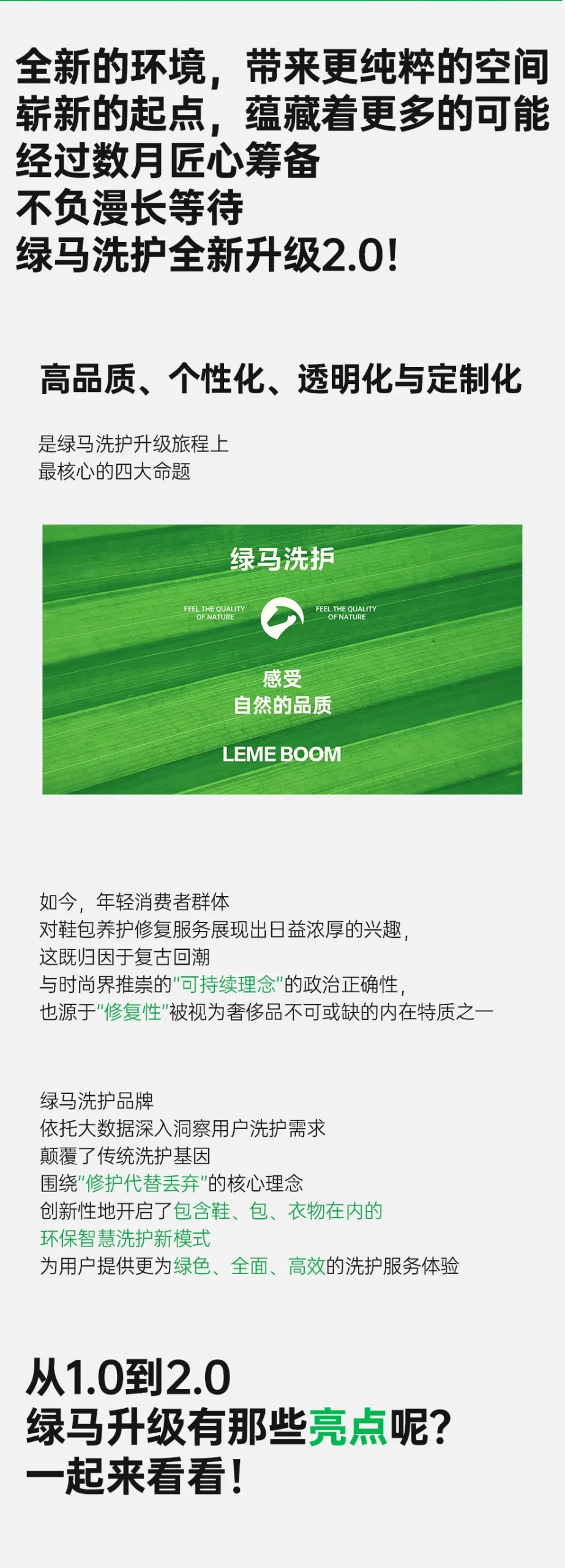 绿马洗护 | 从1.0到2.0，品牌全面升级启航！-绿马洗护